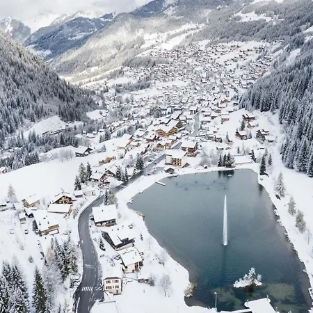 Myrtilles For 6 People