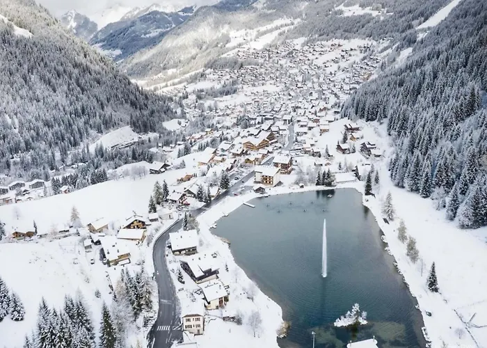 Myrtilles For 6 People